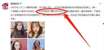 雪莉韩国爆料视频在线播放,揭秘娱乐圈惊人内幕